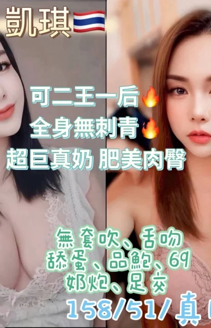 台北定點茶-凱琪/158/51/28/H