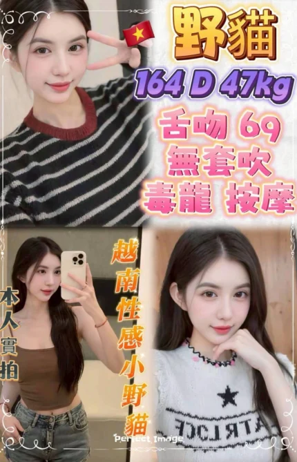 台北定點茶-野貓/164/47/21/D