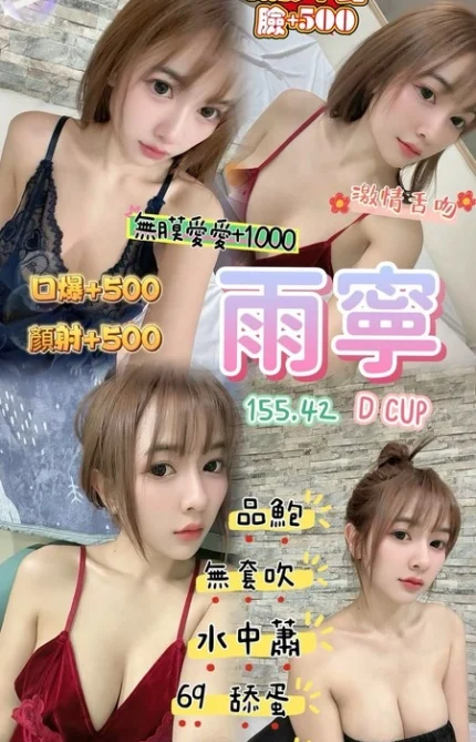 桃園定點茶-雨寧/155/42/22/D