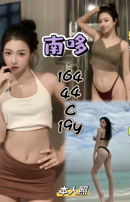 新北定點茶-南哆/164/44/19/C