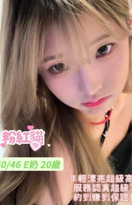 台南定點茶-粉紅貓/160/46/20/E