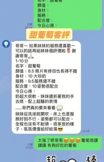 台南定點茶-甜葡萄/155/45/22/H