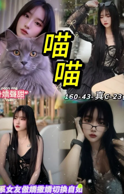 台北定點茶-喵喵/160/43/23/C