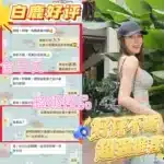 台南定點茶-白鹿/158/41/22/D