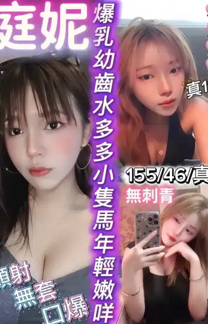 新竹定點茶-庭妮/155/46/19/E