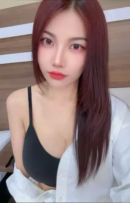 台北定點茶-寶妮/160/49/28/E