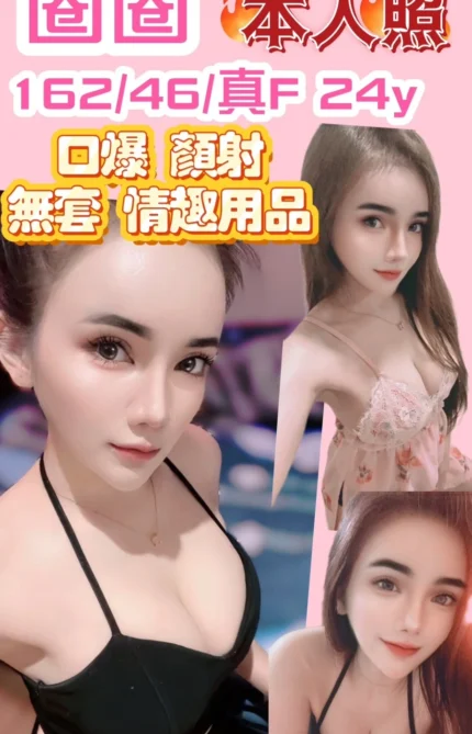 新竹定點茶-圈圈/162/46/24/F