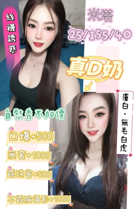 澎湖定點茶-米塔/155/40/25/D