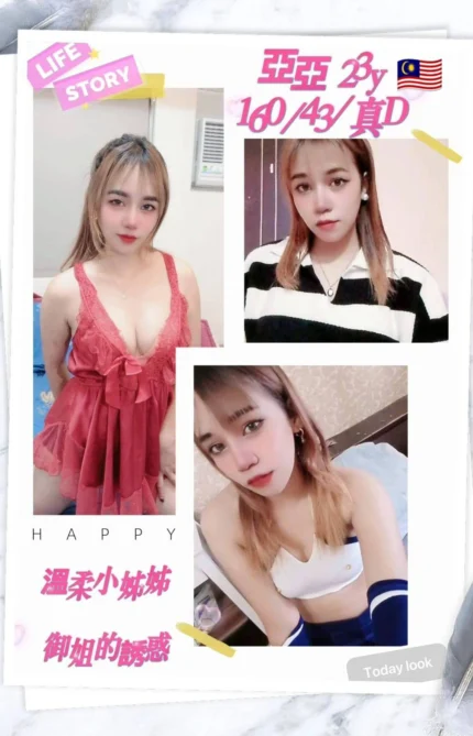 桃園定點茶-亞亞/160/43/23/D