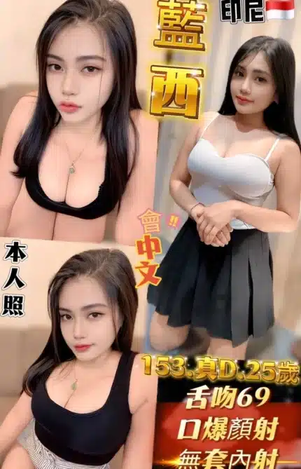 新北定點茶-藍西/153/49/25/D