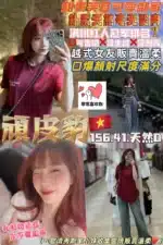 桃園定點茶-頑皮豹/156/41/21/D