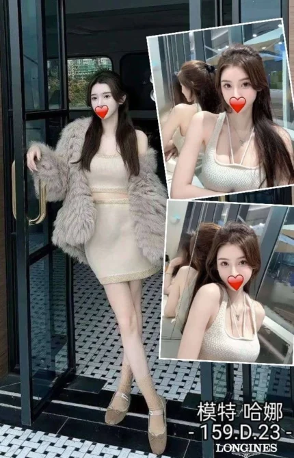 台中外送茶-哈娜/159/?/23/D