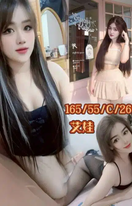 雲林定點茶-艾娃/165/55/26/C