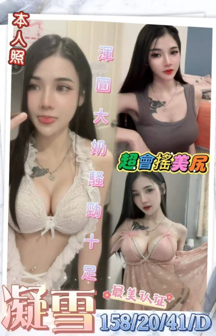 台中定點茶-凝雪/158/41/20/D