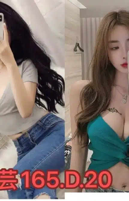 台北外送茶-芳芸/165/?/20/D