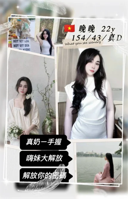 桃園定點茶-晚晚/154/43/22/D