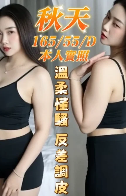 台中定點茶-秋天/165/55/?/D