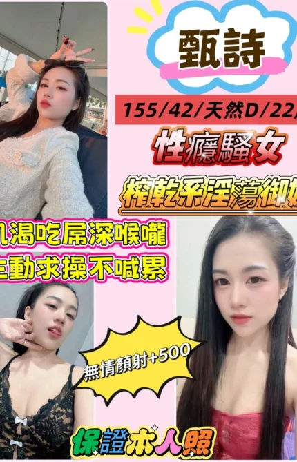 新北定點茶-甄詩/155/42/22/D