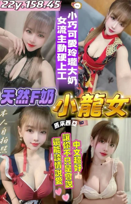 桃園定點茶-小龍女/158/45/22/F