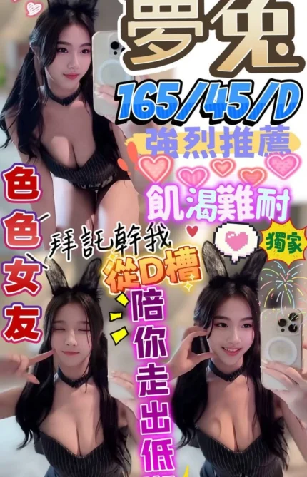 屏東定點茶-夢兔/165/45/?/D