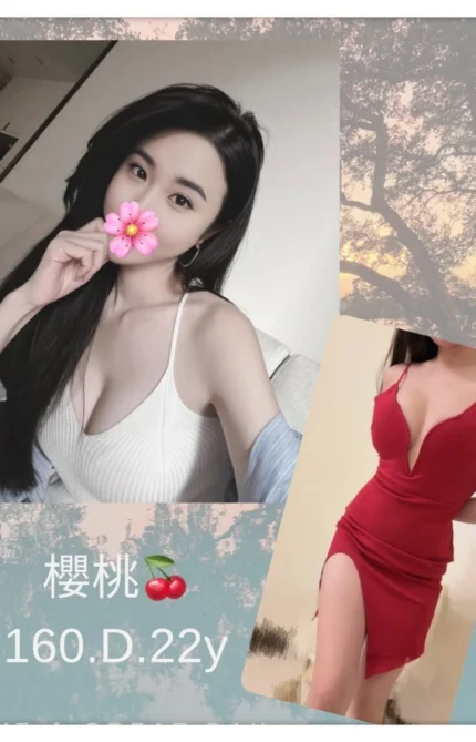 台北外送茶-櫻桃/160/?/22/D