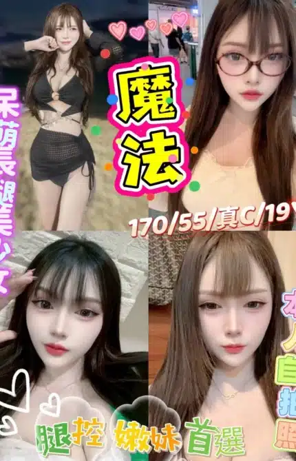 新北定點茶-魔法/170/55/19/C