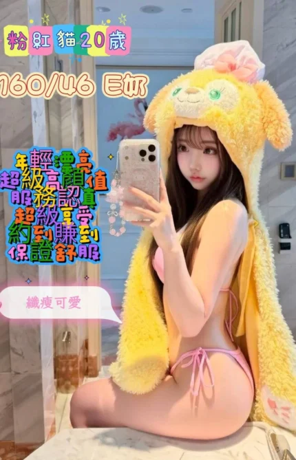 台南定點茶-粉紅貓/160/46/20/E