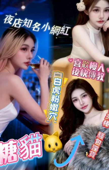 桃園定點茶-糖貓/159/46/23/C