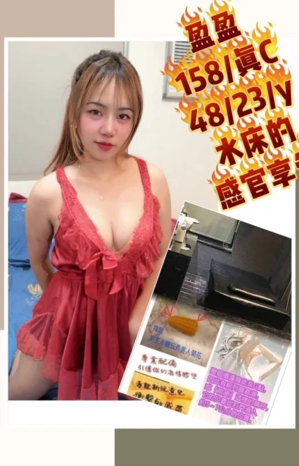 桃園定點茶-盈盈/158/48/23/C