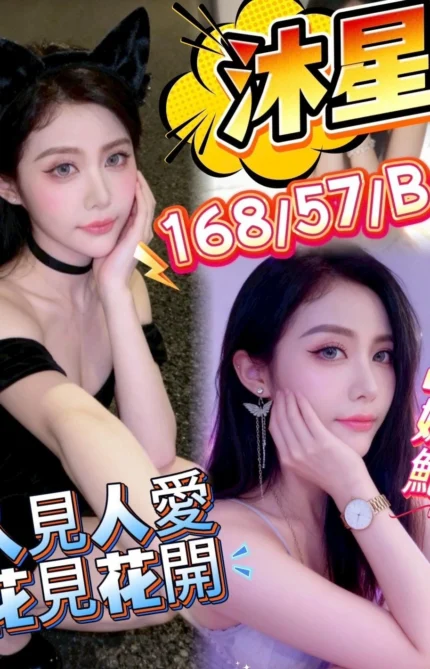 台中定點茶-沐星/168/57/25/B