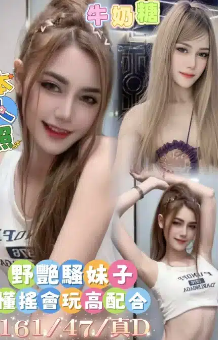 台南定點茶-牛奶糖/161/47/22/D