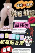 台中定點茶-葵日/165/43/?/E