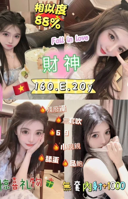 台北定點茶-財神/160/48/20/E