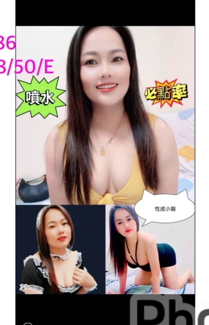 嘉義定點茶-T86/158/50/?/E