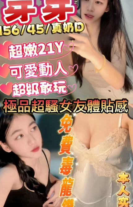 新竹定點茶-芽芽/156/45/21/D