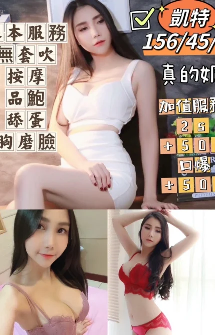 台中定點茶-凱特/156/45/23/D