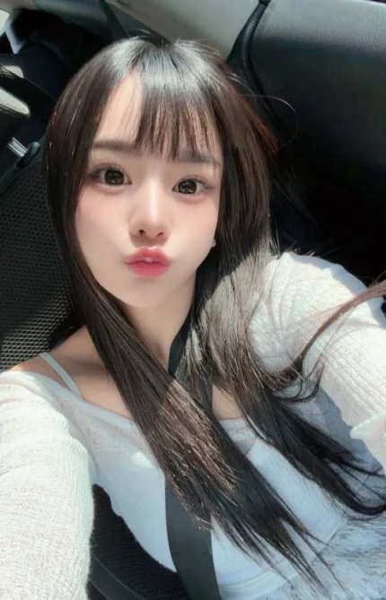 高雄定點茶-小太陽/155/45/23/E