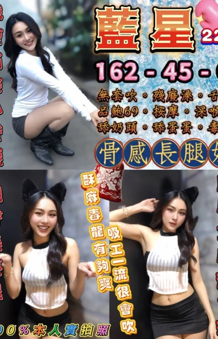 台北定點茶-藍星/162/45/22/C