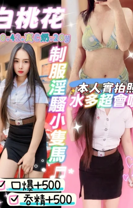 新北定點茶-白桃花/150/42/20/C