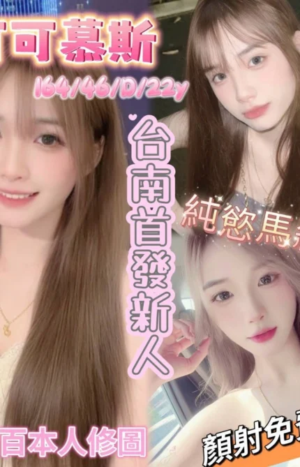 台南定點茶-可可慕斯/164/46/22/D