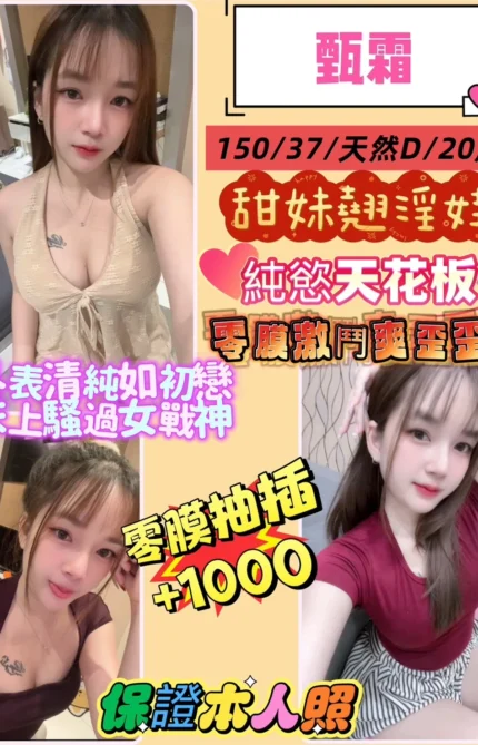 新北定點茶-甄霜/150/37/20/D