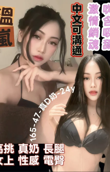 台南定點茶-溫嵐/165/47/24/D