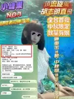 高雄定點茶-小糖果/165/43/23/F