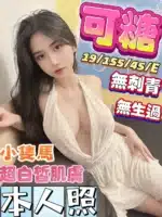 台中定點茶-可糖/155/45/19/E