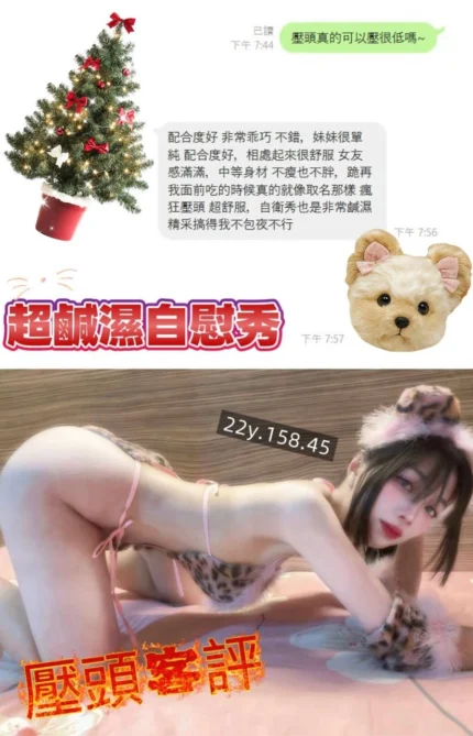 桃園定點茶-壓頭/158/45/22/C