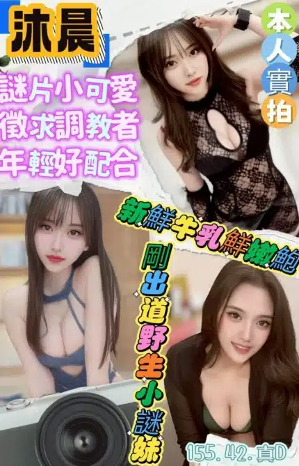 高雄定點茶-沐晨/155/42/22/D