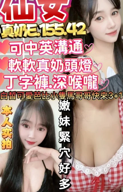 新竹定點茶-仙女/155/42/21/E