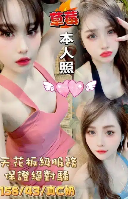 嘉義定點茶-草莓/158/43/22/C