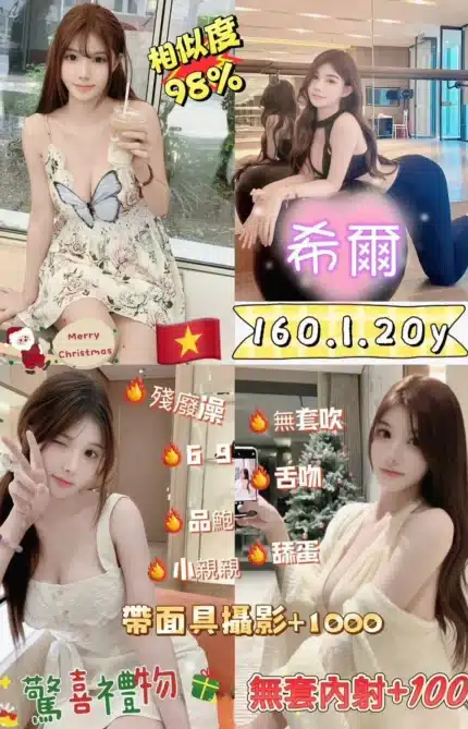 新北定點茶-希爾/160/50/20/I