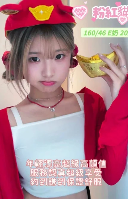 台南定點茶-粉紅貓/160/46/20/E